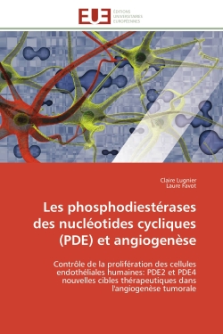 Les phosphodiestérases des nucléotides cycliques (PDE) et angiogenèse : Contrôle de la prolifération des cellules endothéliales humaines : PDE2 et PDE4 nouvelles cibles thér