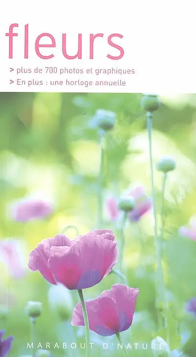 Fleurs : les reconnaître facilement sans se tromper