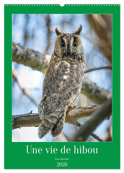 Une vie de hibou les...