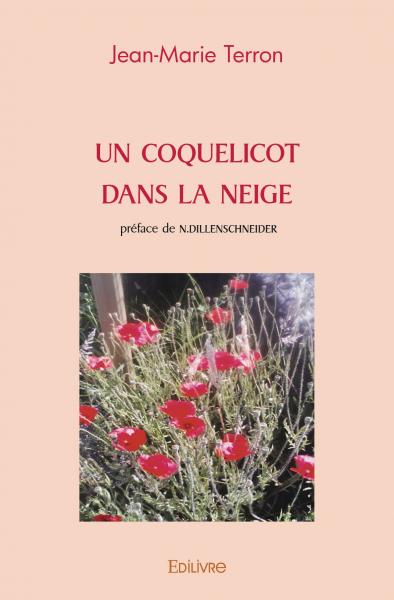 Un coquelicot dans la neige