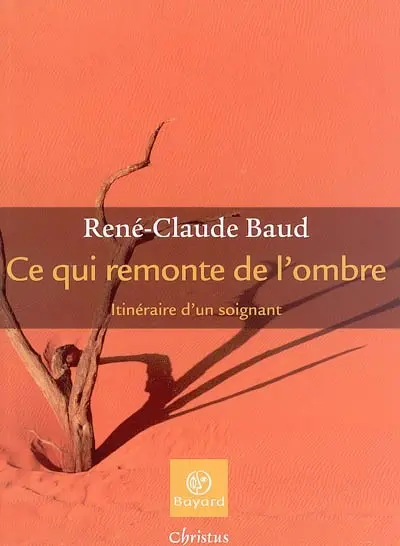 Ce qui remonte de l'ombre : itinéraire d'un soignant