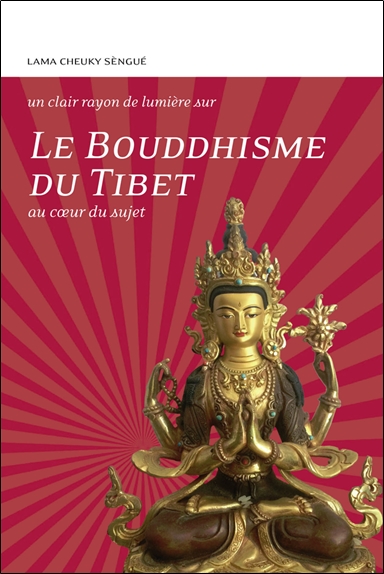 Le bouddhisme du Tibet : au coeur du sujet