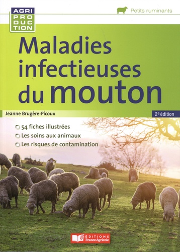 Maladies infectieuses du mouton : les symptômes, le diagnostic, la prévention, les traitements