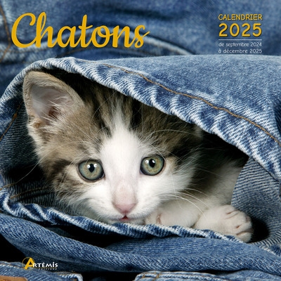 Chatons : calendrier 2025 :...