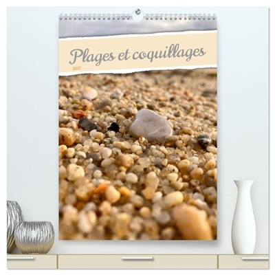 Plages et coquillages...
