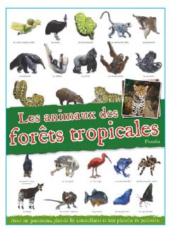 Les animaux des forêts tropicales