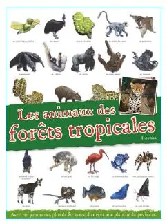 Les animaux des forêts tropicales