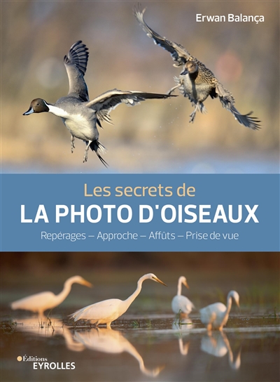 Les secrets de la photo d'oiseaux : reportages, approche, affûts, prise de vue