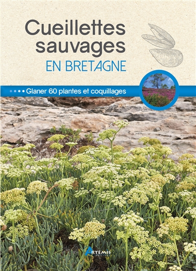 Cueillettes sauvages en Bretagne : glaner 60 plantes et coquillages