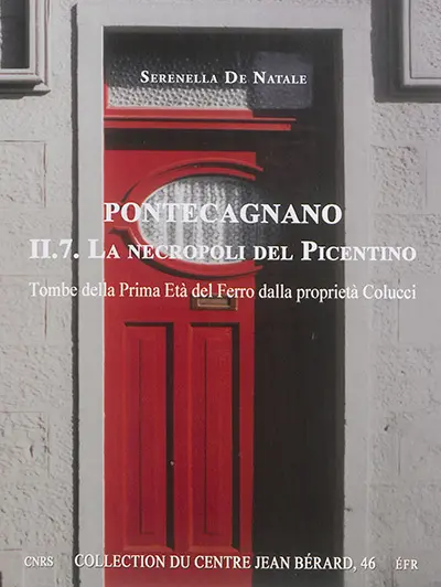 Pontecagnano. Vol. 2-7. La necropoli del Picentino : tombe della Prima Età del Ferro dalla proprietà Colucci