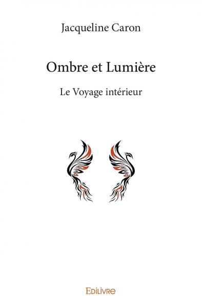 Ombre et lumière : Le Voyage intérieur