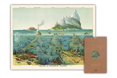 La nature en eaux profondes. Nature in descending regions