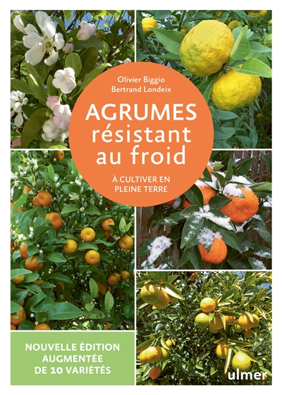 Agrumes résistant au froid...