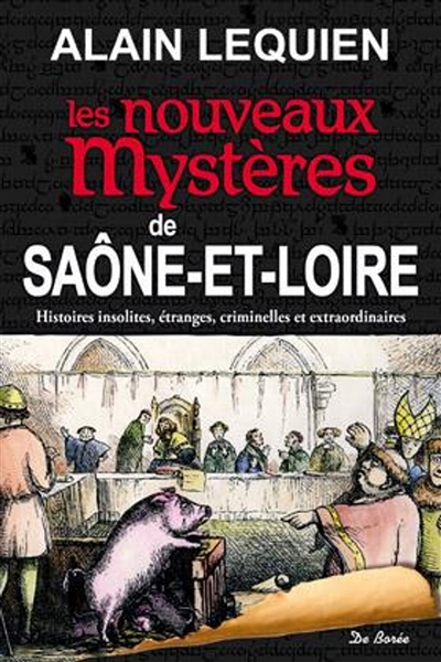 Les nouveaux mystères de Saône-et-Loire : histoires insolites, étranges, criminelles et extraordinaires