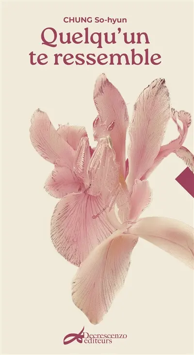 Quelqu'un te ressemble : microfictions