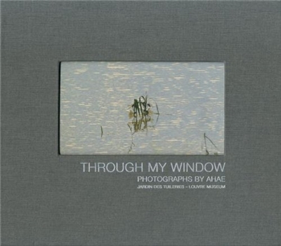Through my window