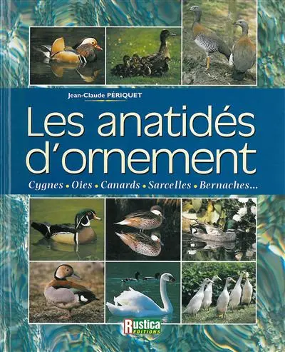 Les anatidés d'ornement : cygnes, oies, canards, sarcelles, bernaches...