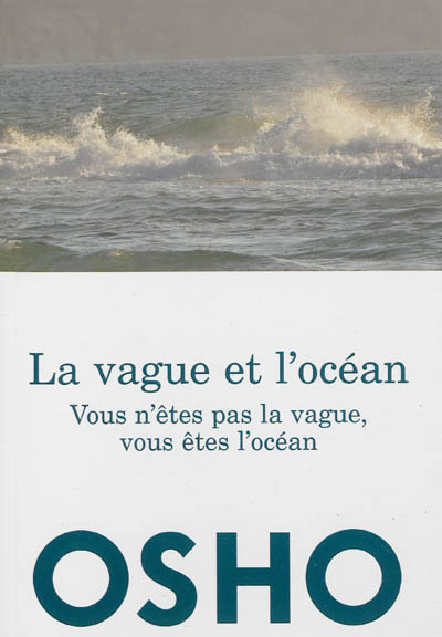 La vague et l'océan : vous n'êtes pas la vague, vous êtes l'océan