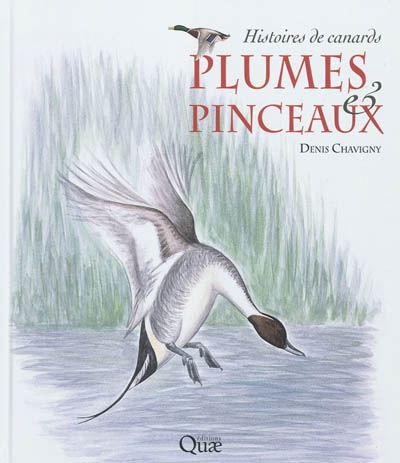 Plumes & pinceaux : histoires de canards