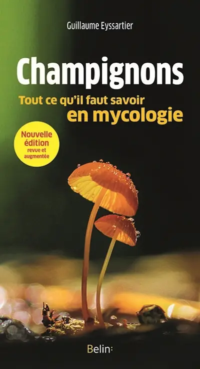 Champignons : tout ce qu'il faut savoir en mycologie