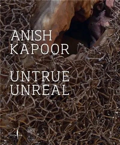 Anish Kapoor Untrue Unreal