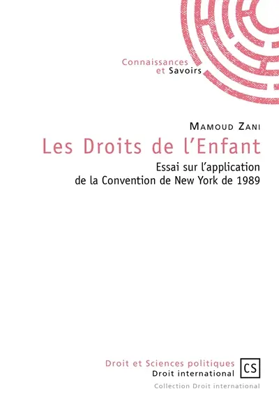 Les droits de l'enfant : essai sur l'application de la Convention de New York de 1989