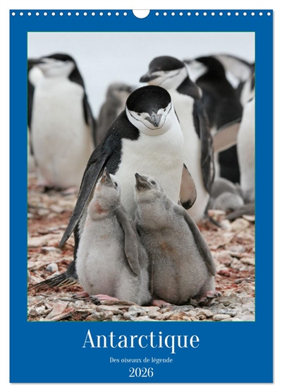 Antarctique des oiseaux de légende (Calendrier mural 2026 DIN A3 horizontal), CALVENDO calendrier mensuel : A la découverte des oiseaux d'Antarctique