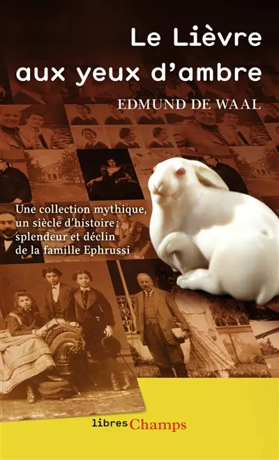 Le lièvre aux yeux d'ambre