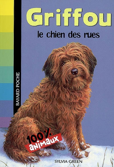 griffou le chien des rues