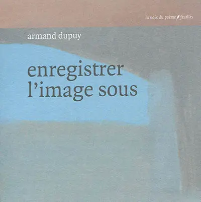 Enregistrer l'image sous