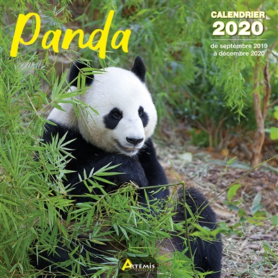 Panda : calendrier 2020 : de septembre 2019 à décembre 2020