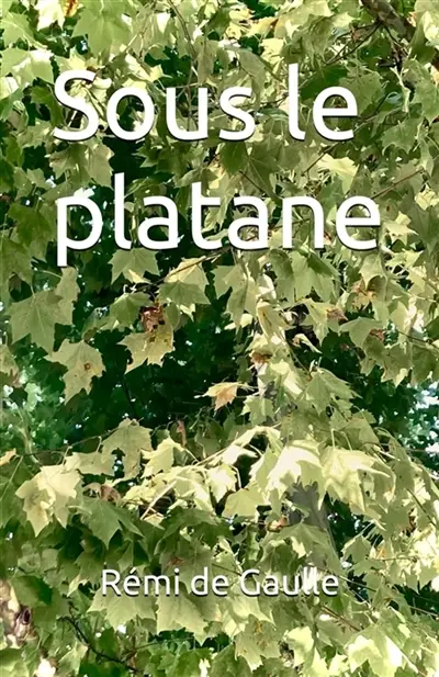 Sous le platane