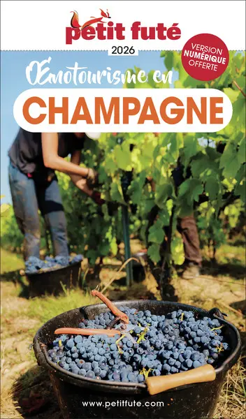 Oenotourisme en Champagne : 2026