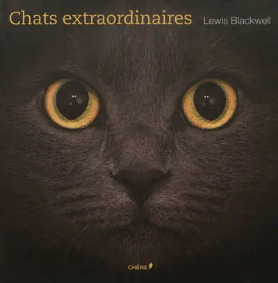 Chats extraordinaires