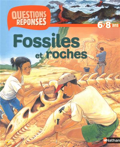 Fossiles et roches