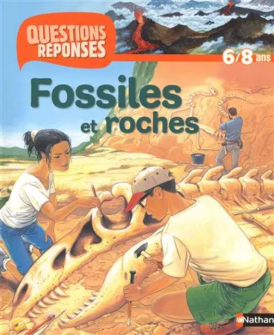 Fossiles et roches