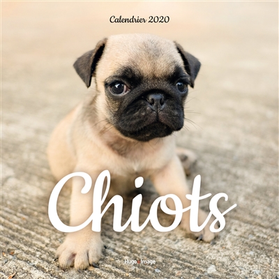 Chiots : calendrier 2020