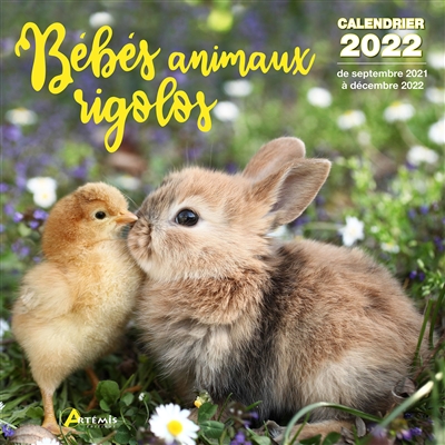 Bébés animaux rigolos : calendrier 2022 : de septembre 2021 à décembre 2022