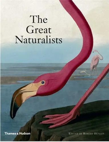 The Great Naturalists (Hardback)