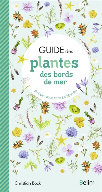 Guide des plantes des bords de mer : de l'Atlantique et de la Manche