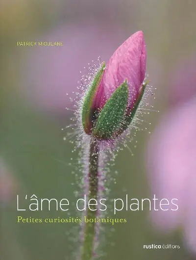 L'âme des plantes : petites curiosités botaniques