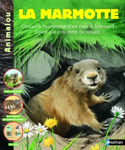 La marmotte