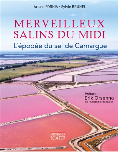 Merveilleux salins du Midi : l'épopée du sel de Camargue