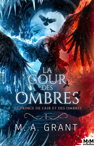 Le prince de l'Air et des Ombres : La Cour des Ombres, T1
