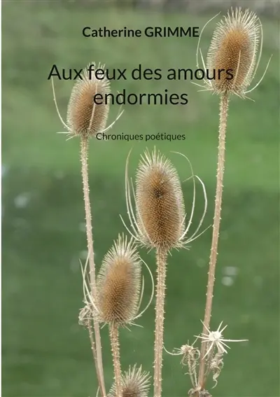 Aux feux des amours endormies : Chroniques poétiques