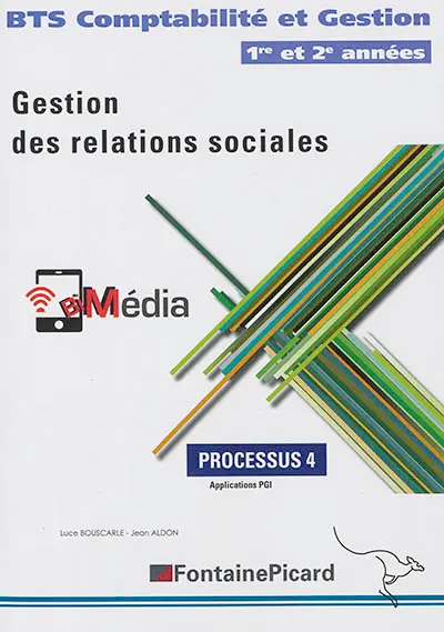 Gestion des relations sociales : BTS comptabilité et gestion 1re et 2e années : processus 4, applications PGI