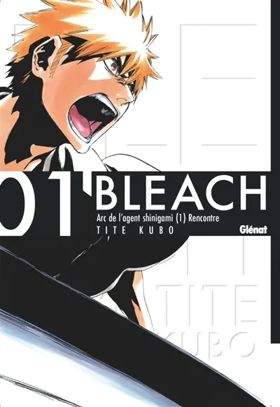 Bleach. Vol. 1. The death and the strawberry