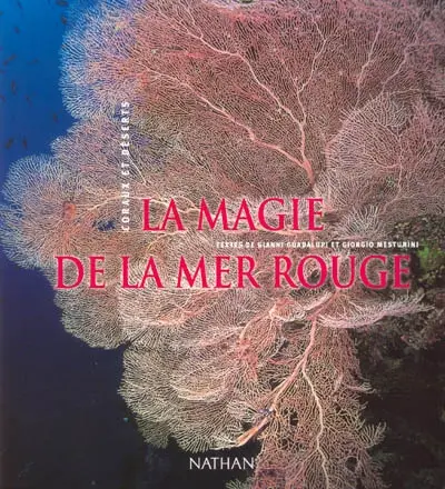 La magie de la mer Rouge : coraux et déserts