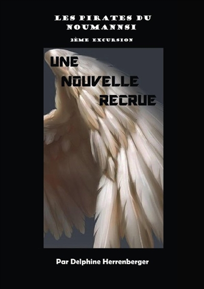 Les pirates du Noumannsi :...