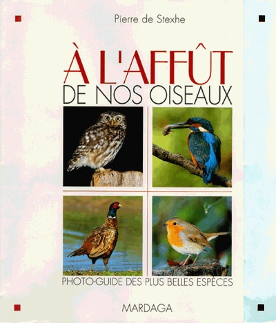 A l'affût de nos oiseaux :...